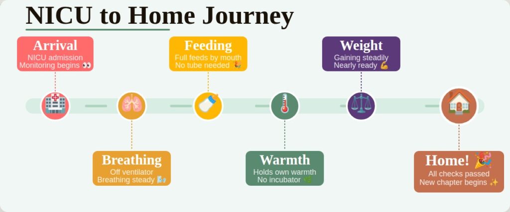 premature baby nicu to home journey 