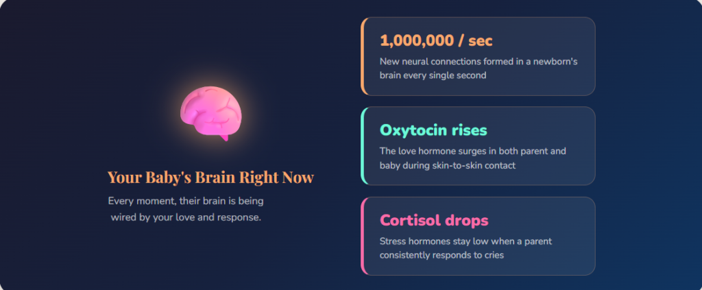 Newborn Baby Your Baby's Brain Right Now