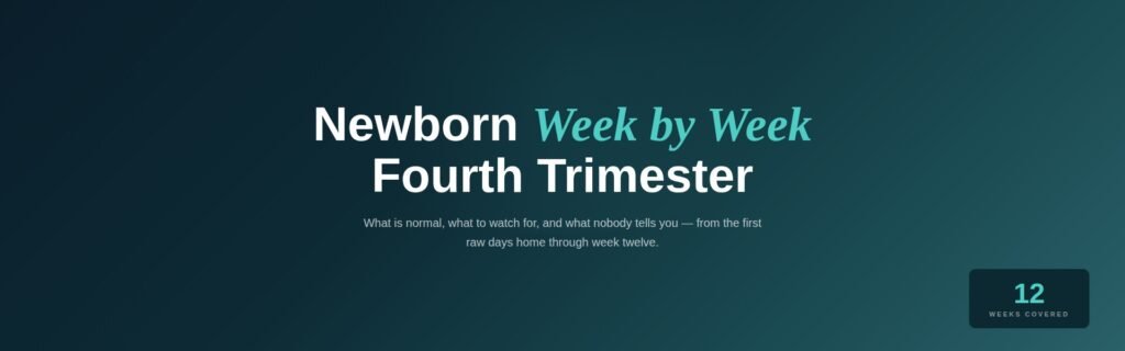 newborn week by week fourth Trimester