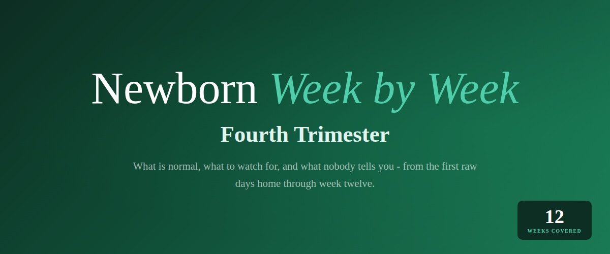 fourth trimester - week by week