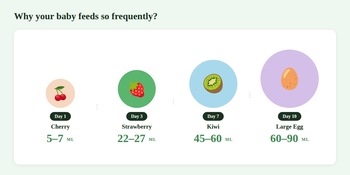 Fourth trimester - Why your baby feeds so frequently?