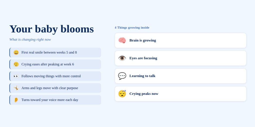 Your Baby blooms 